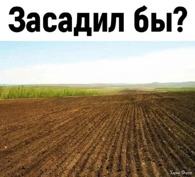 1000017344.webp