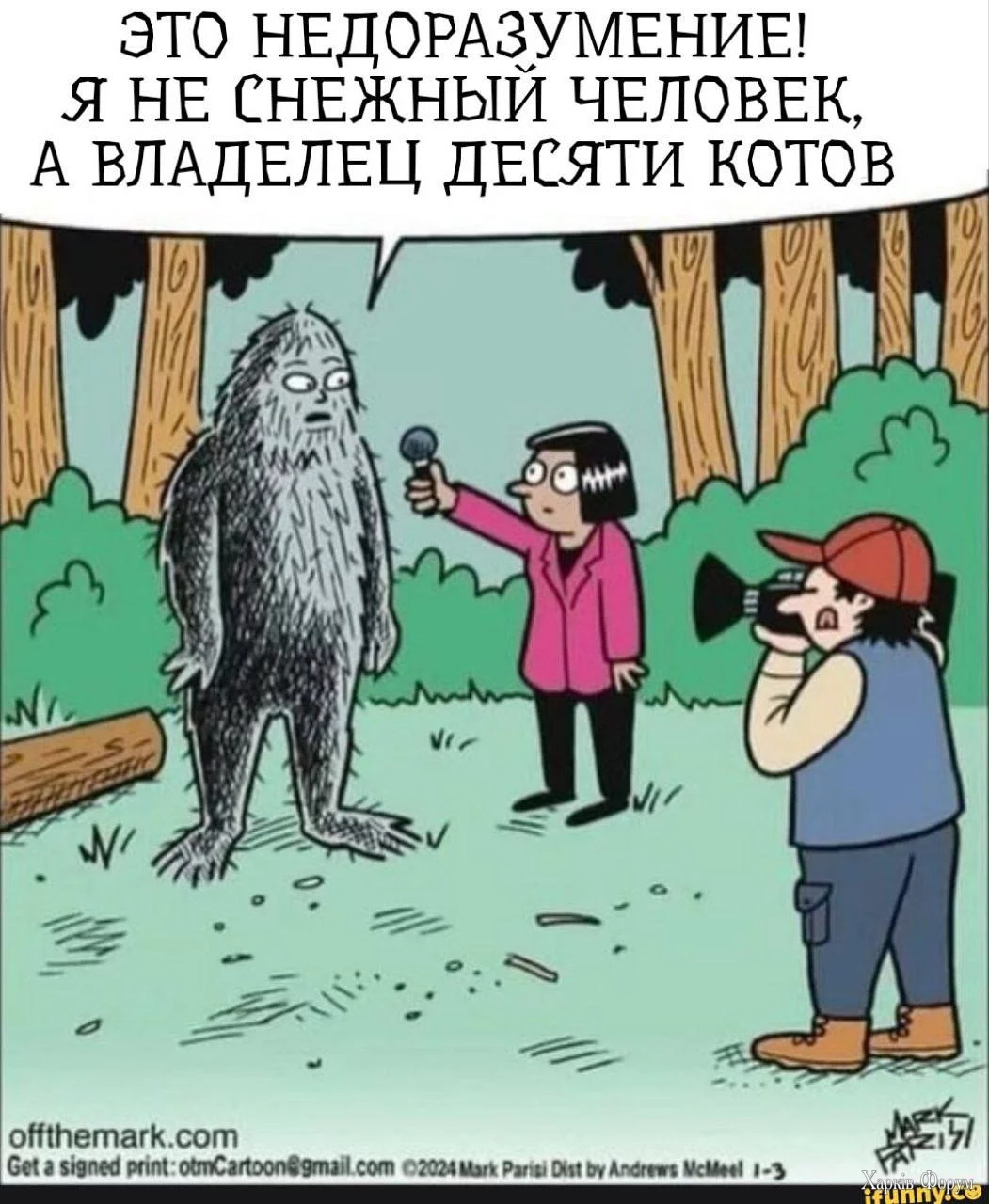 1000017649.webp