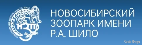 1000017914.webp