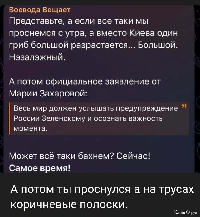 1000017965.webp