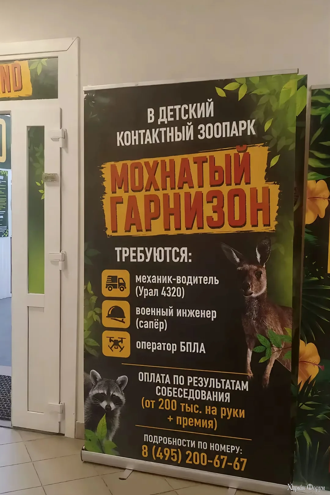 1000018000.webp