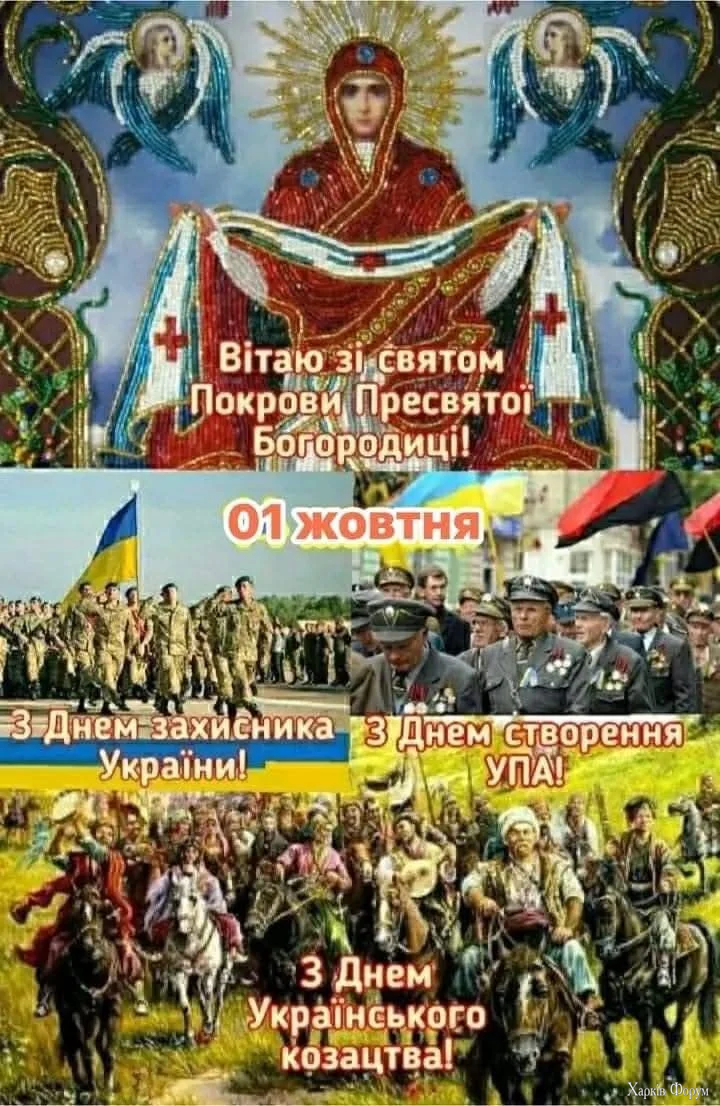 1000018093.webp