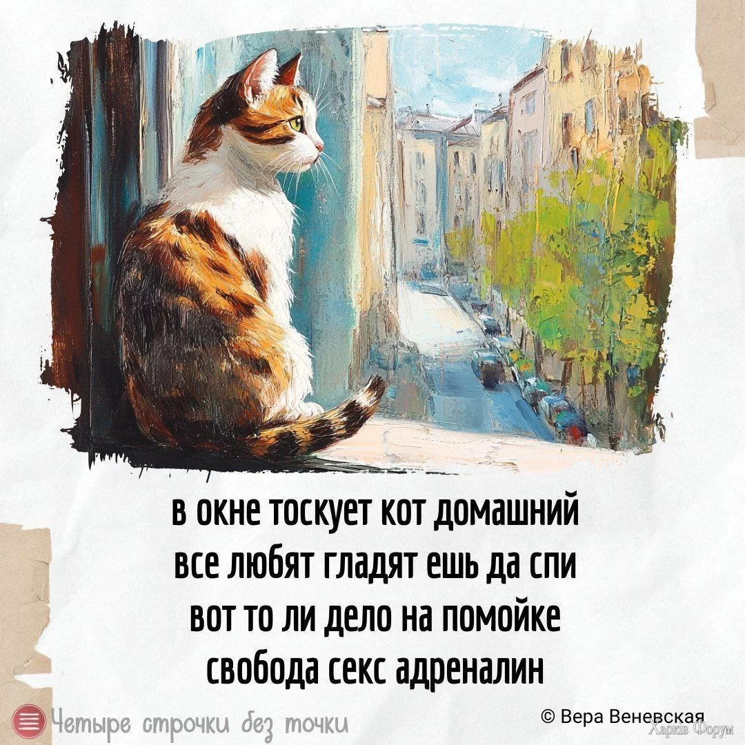 1000018297.webp