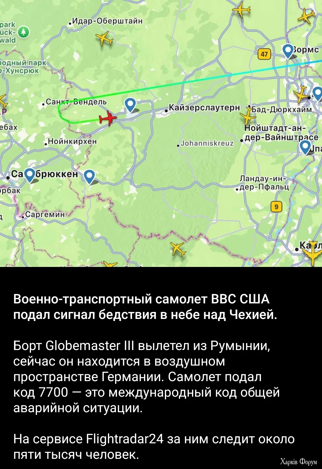 1000018308.webp