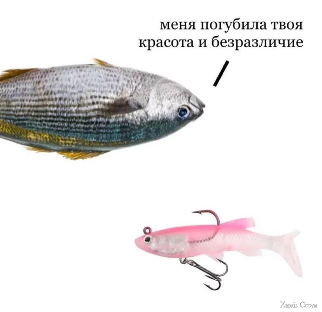 1000018384.webp