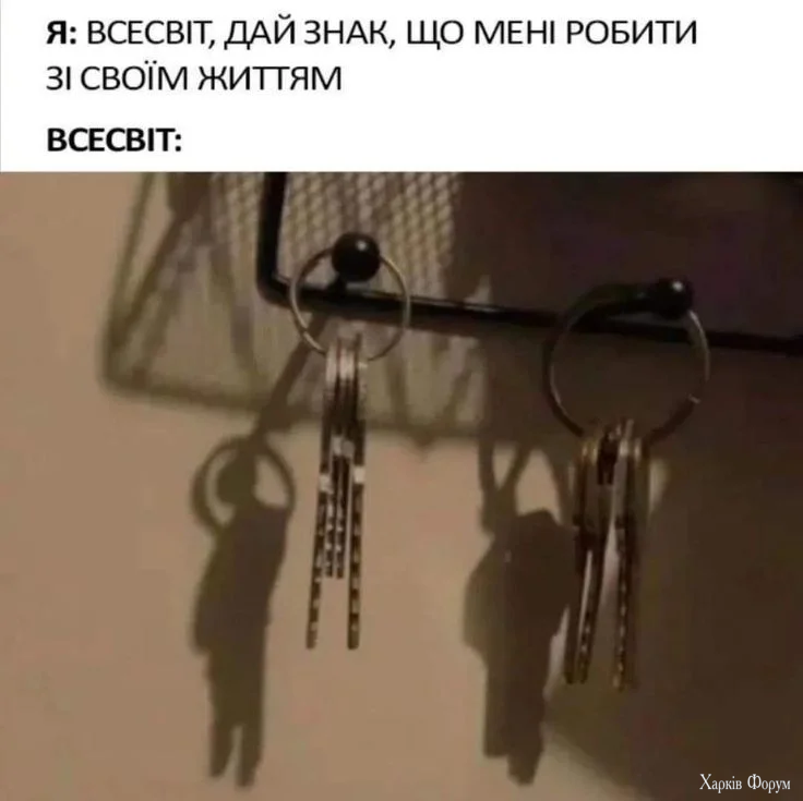 1000018711.webp
