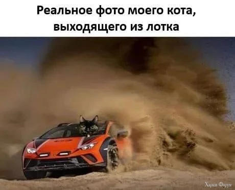1000018749.webp
