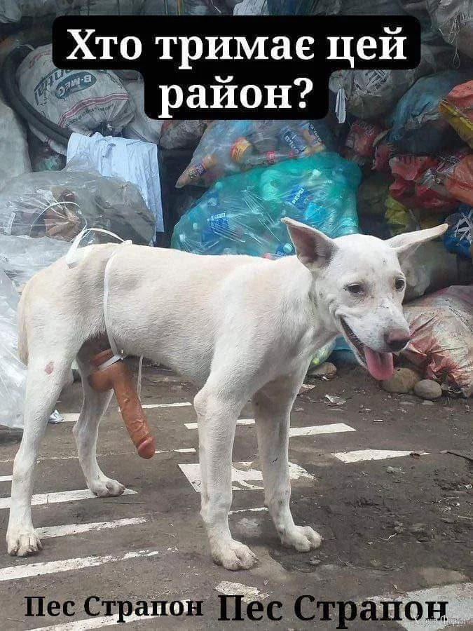1000019192.webp