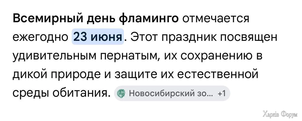 1000019288.webp
