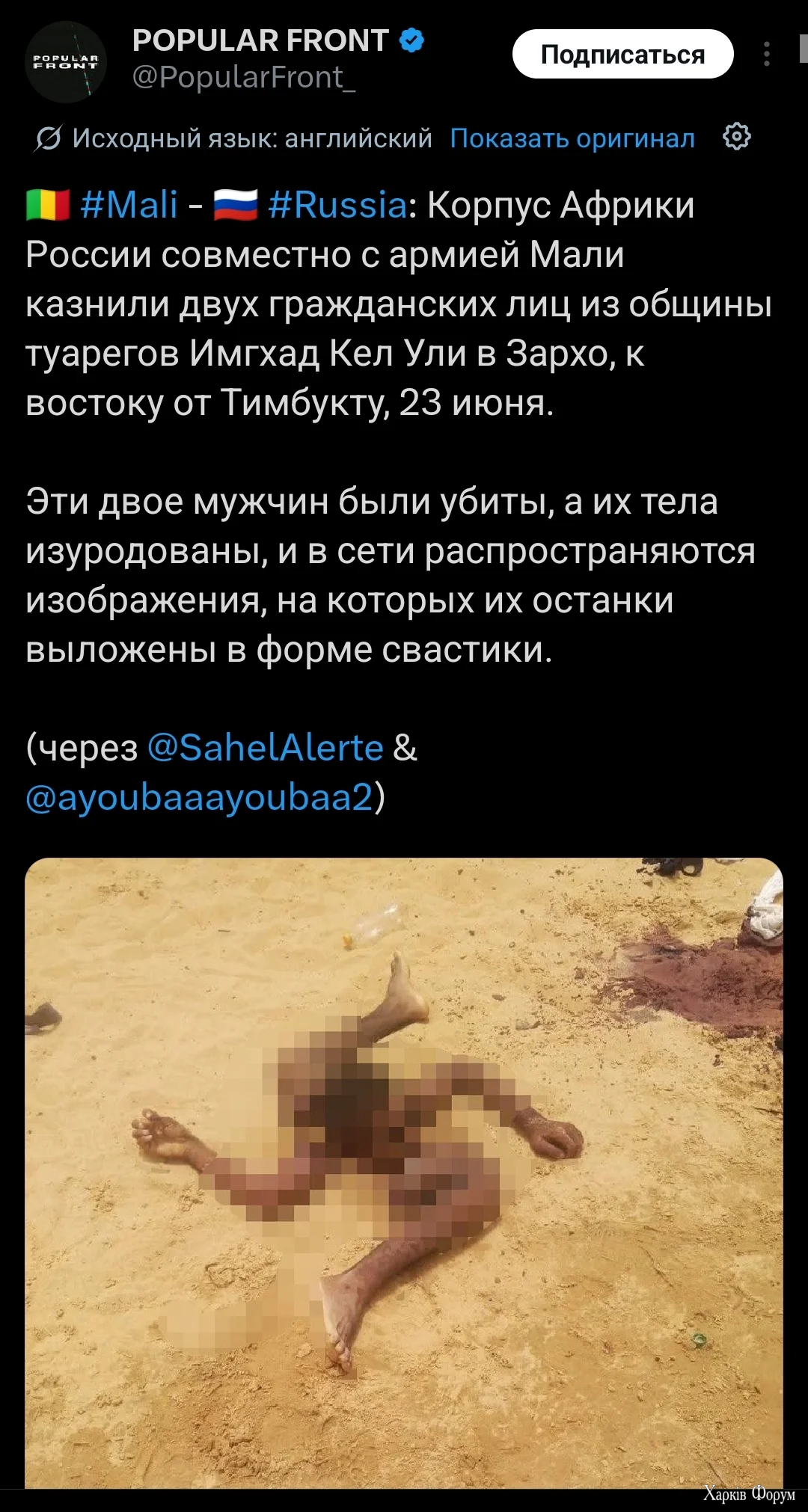 1000019332.webp