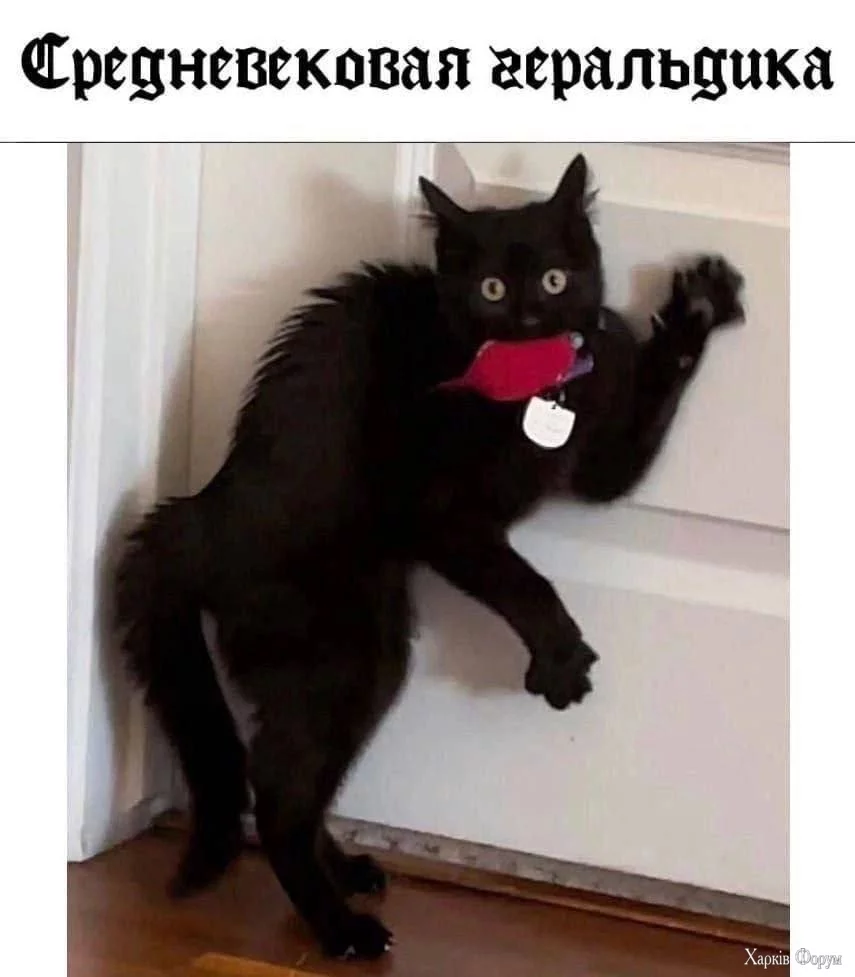 1000019333.webp
