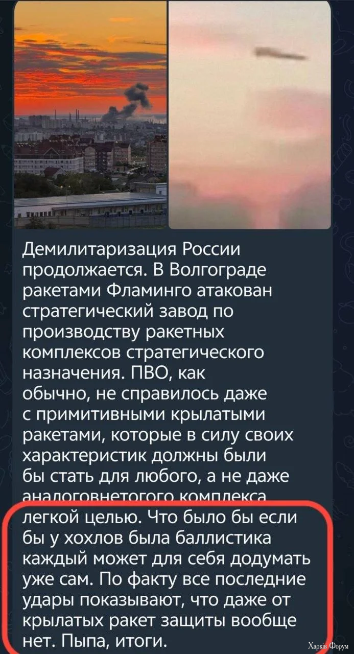 1000019384.webp