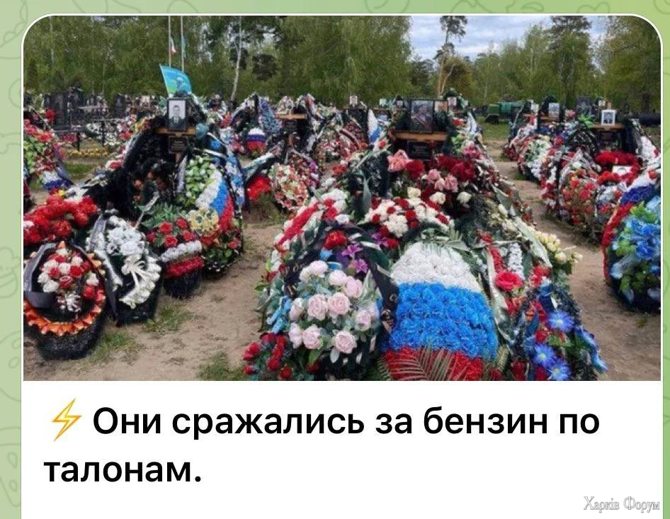 1000019519.webp