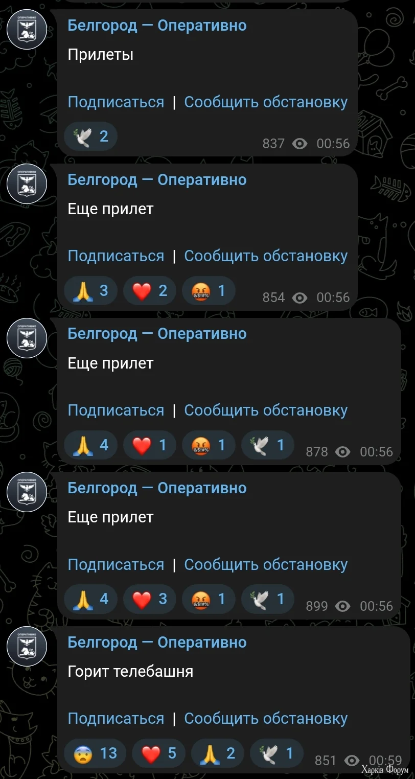 1000019615.webp