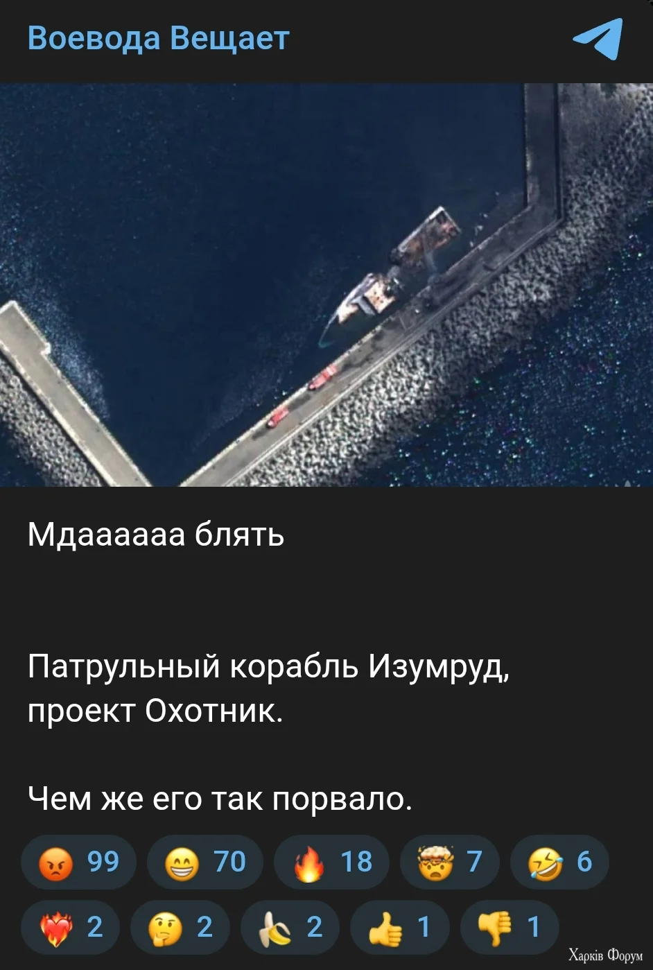 1000019857.webp