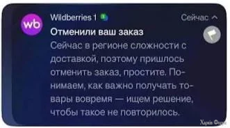 1000019994.webp
