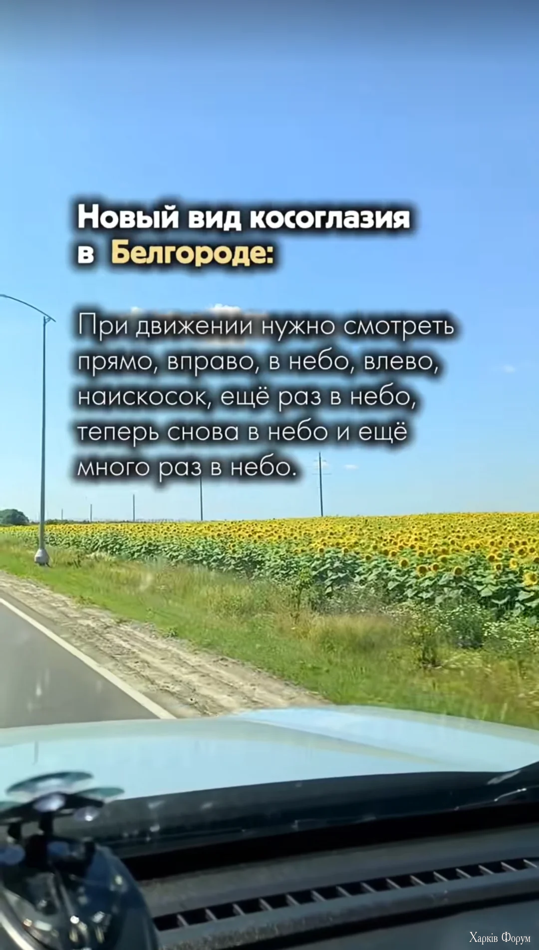 1000020217.webp