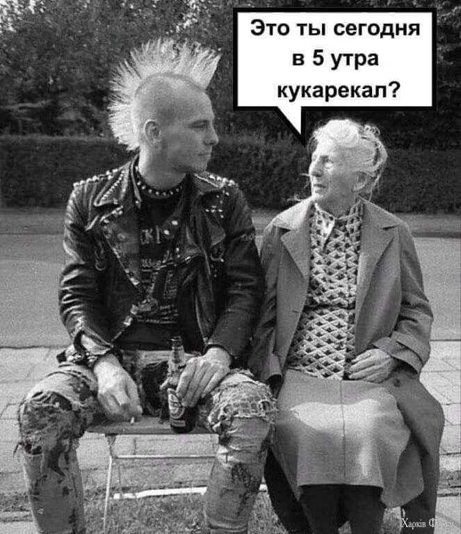 1000020250.webp
