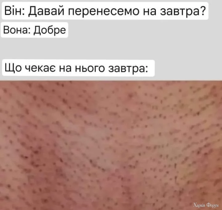 1000020268.webp