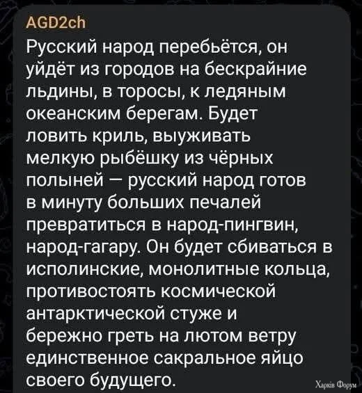 1000020268.webp