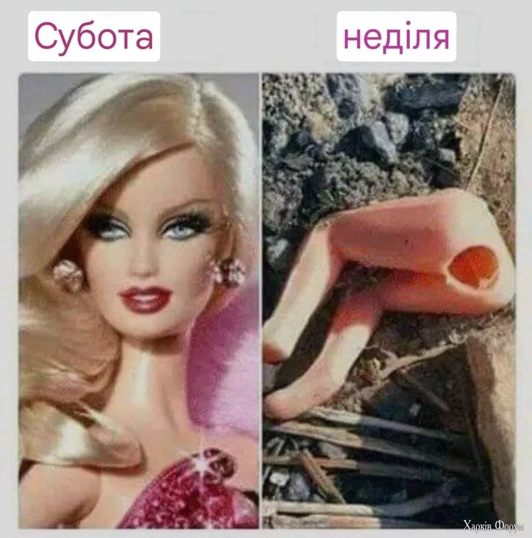 1000020317.webp