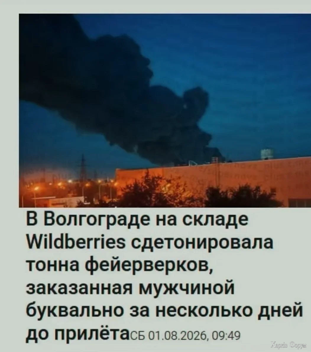 1000020401.webp
