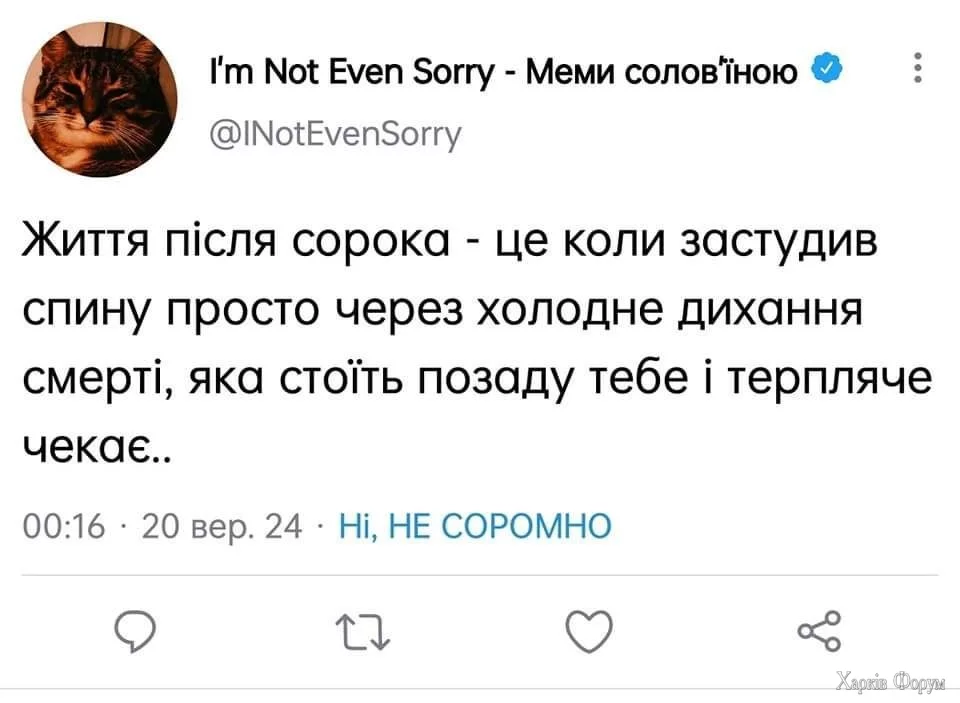1000020403.jpg