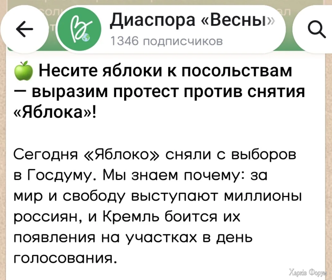 1000020507.webp