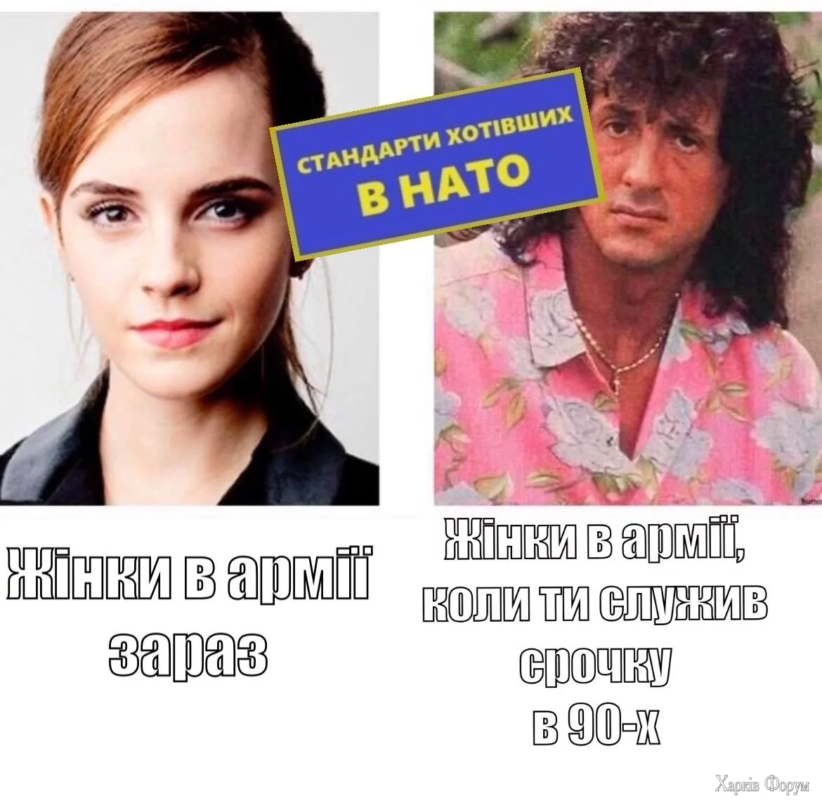 1000020804.webp