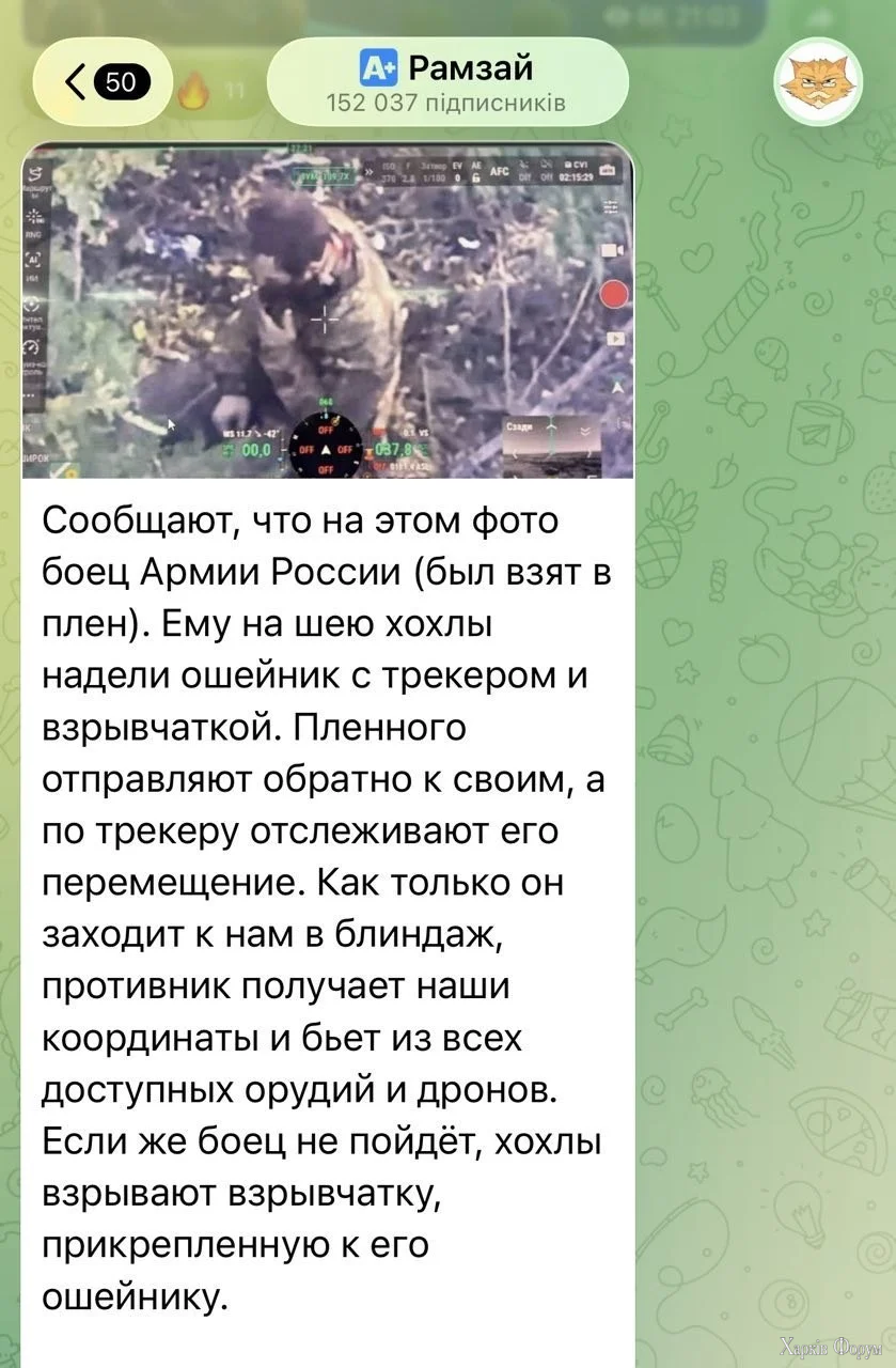 1000021489.webp