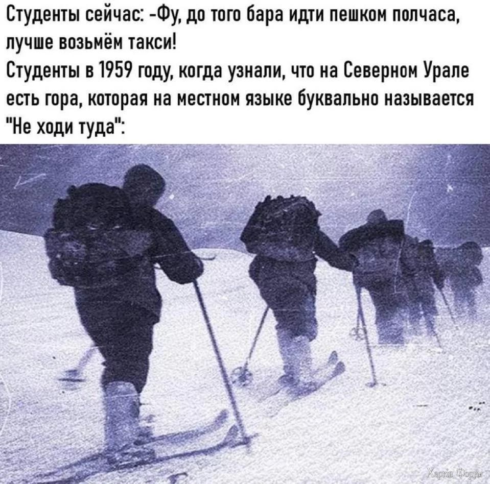 1000021507.webp