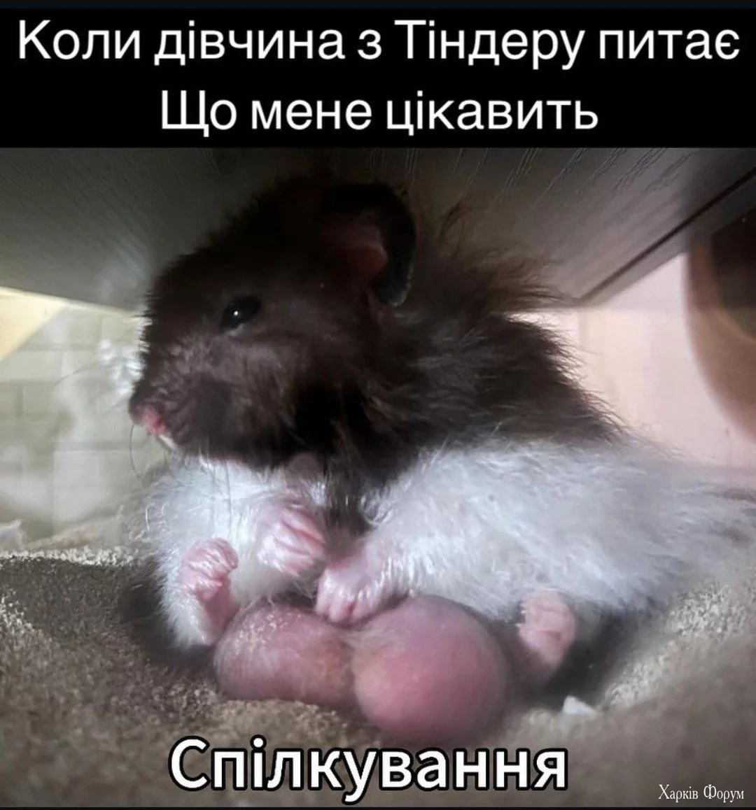 1000021854.webp