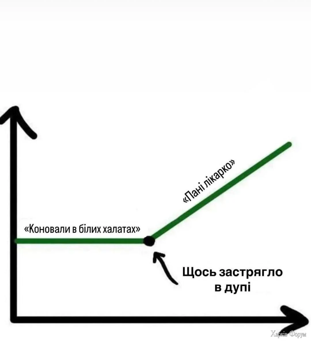 1000021945.webp