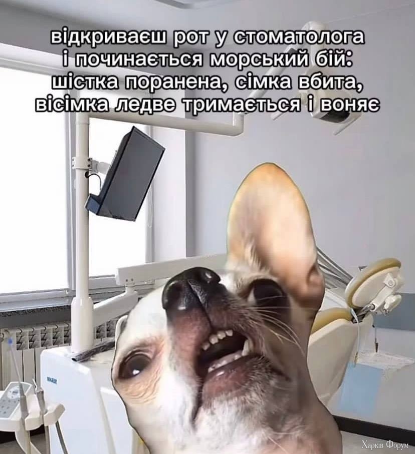 1000021970.jpg