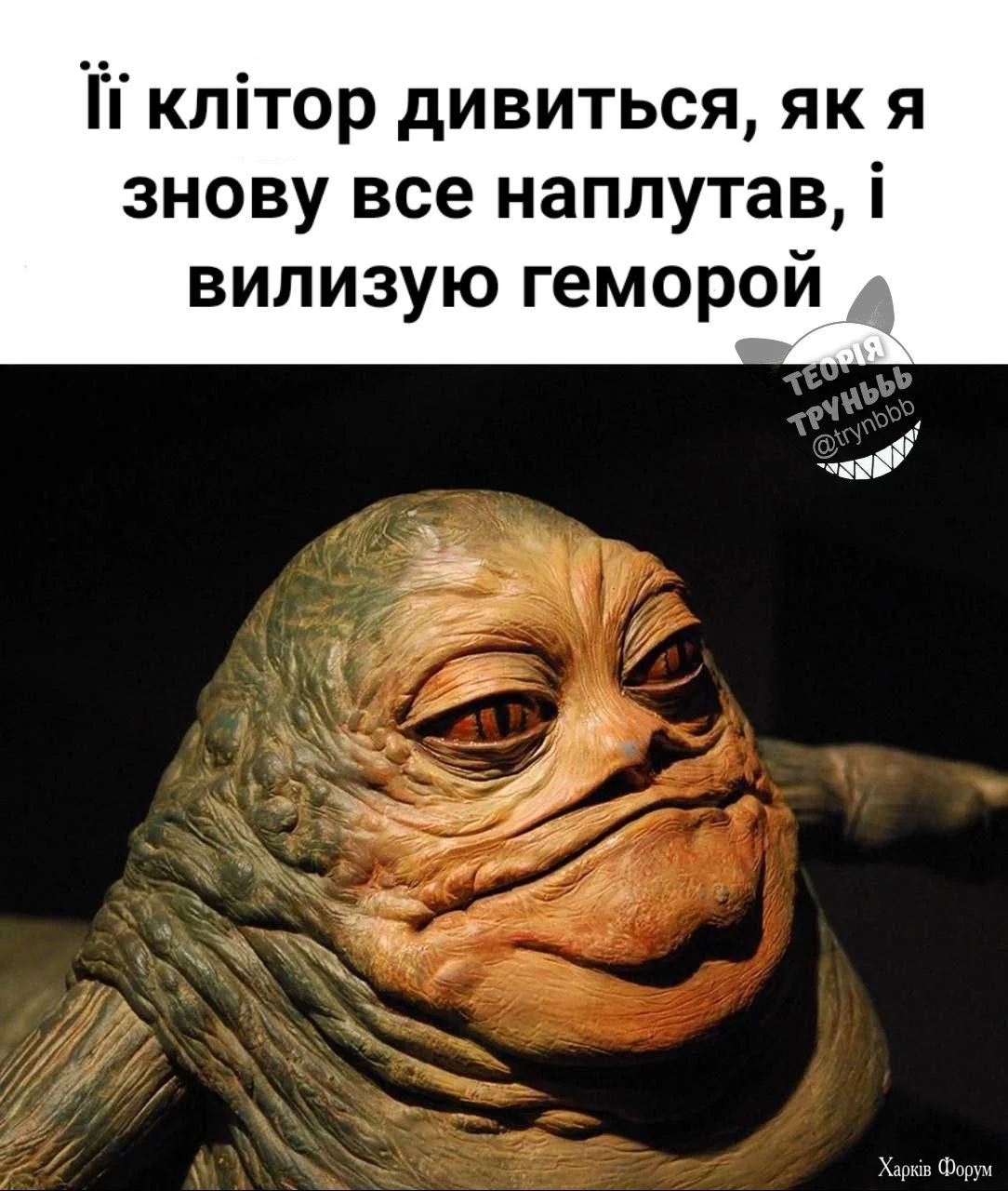 1000022592.webp