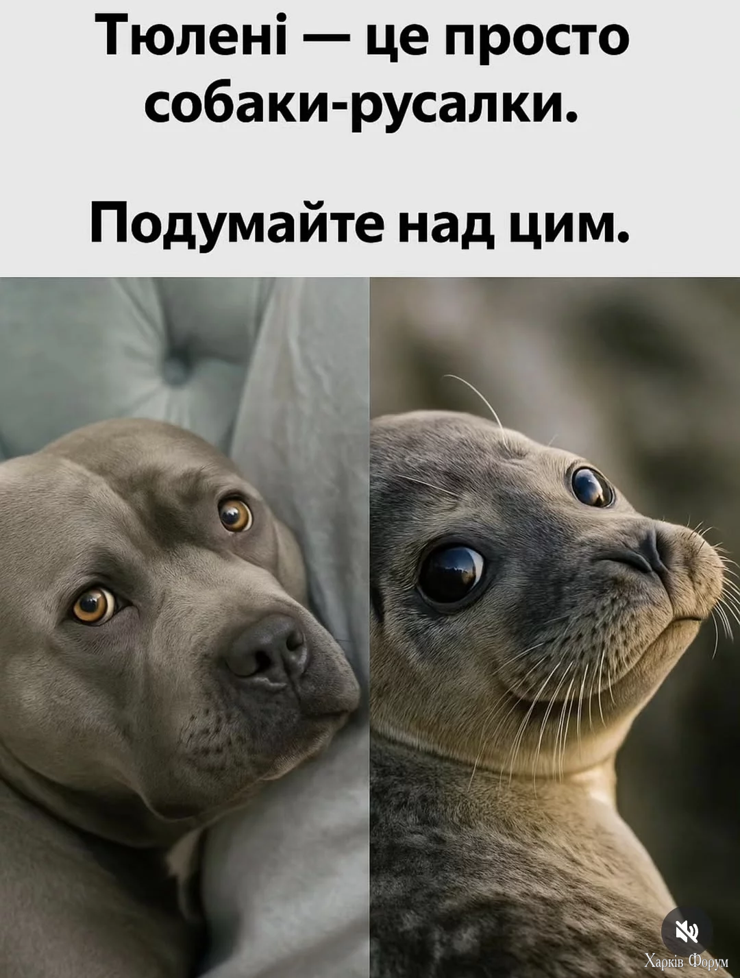 1000022592.webp