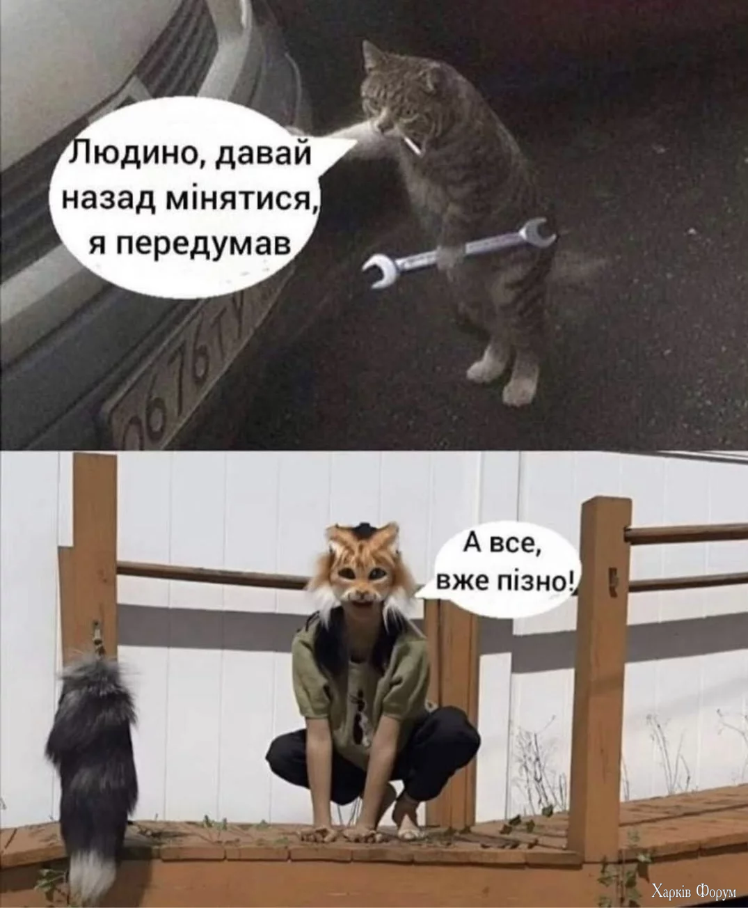 1000022688.webp