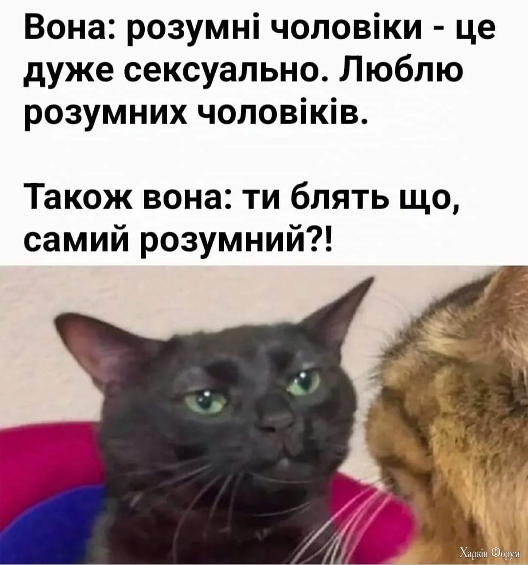 1000023194.webp