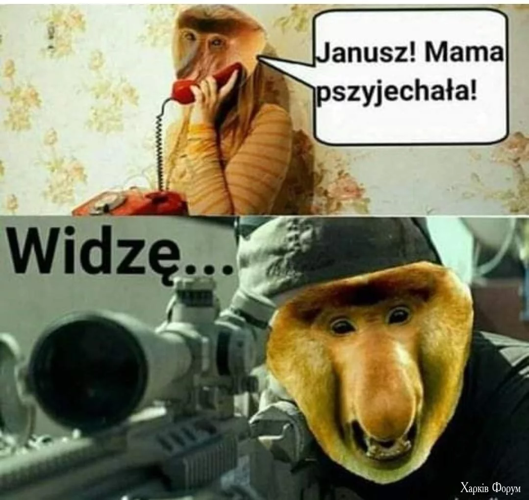 1000023270.webp