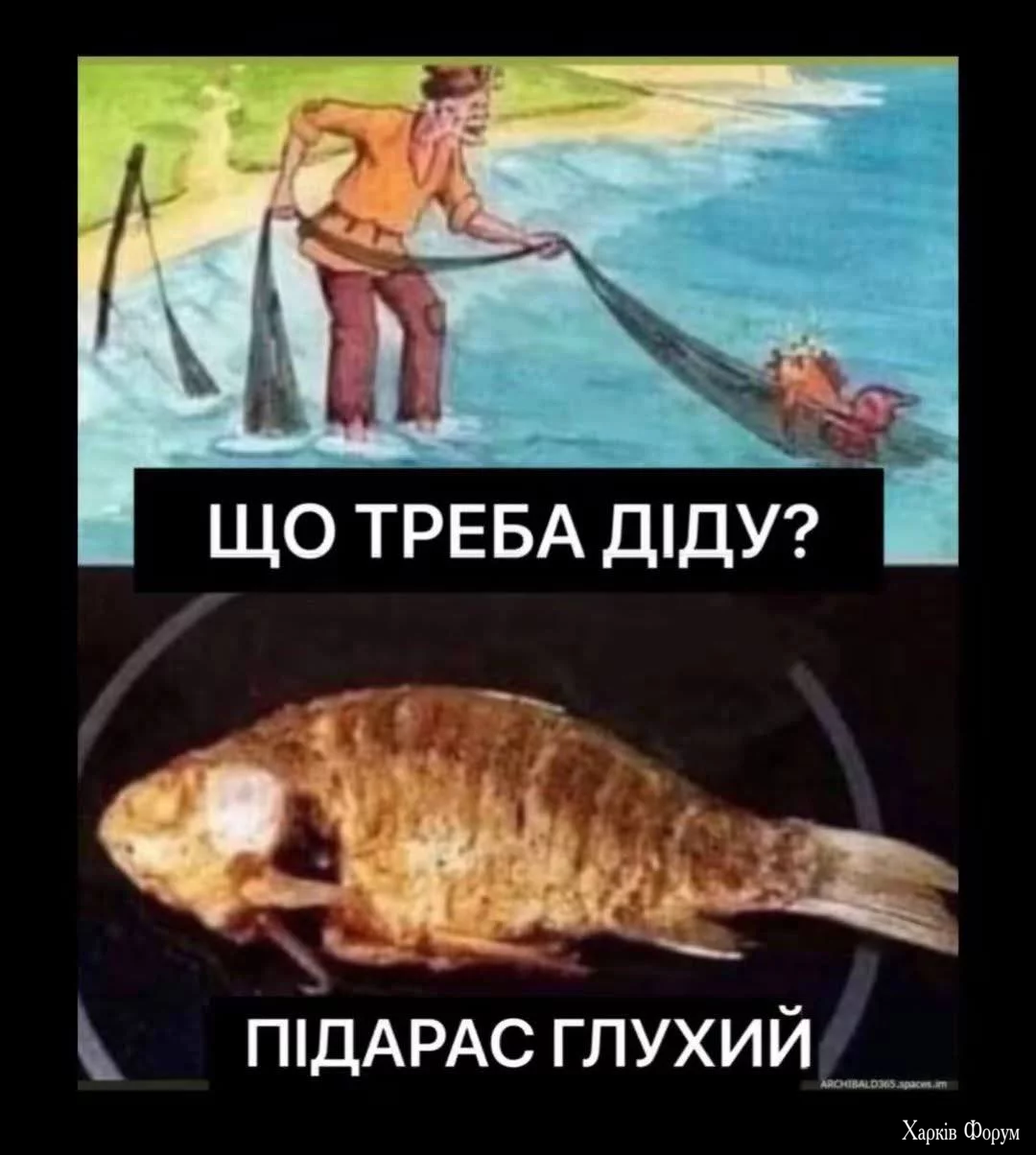 1000023301.webp
