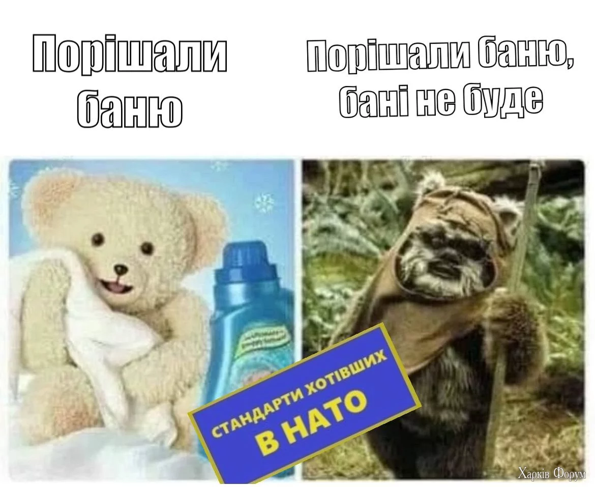 1000023572.webp