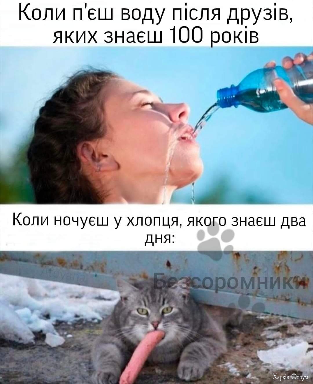 1000023599.jpg