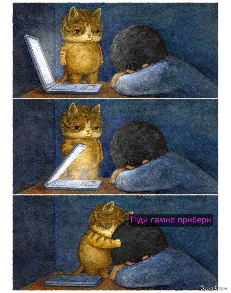 1000023671.jpg