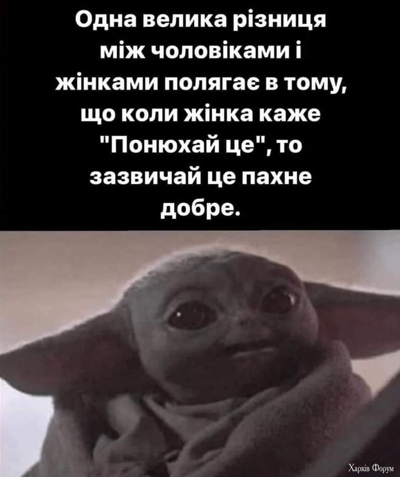 1000023675.jpg