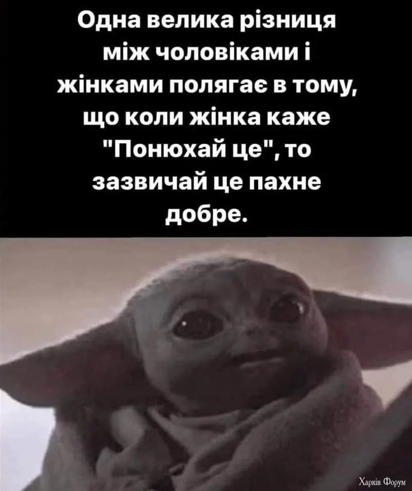 1000023675.webp