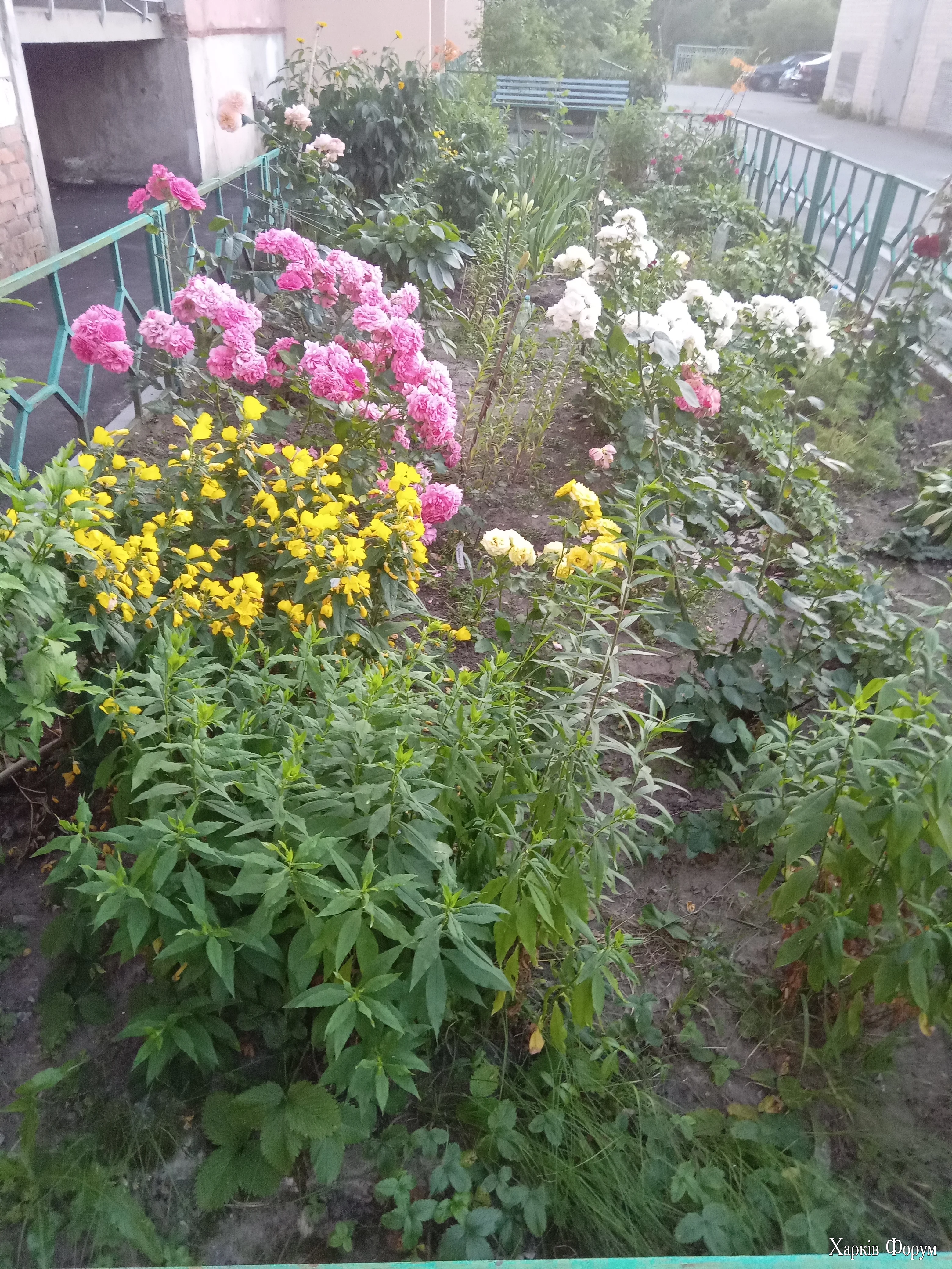 1000023865.webp