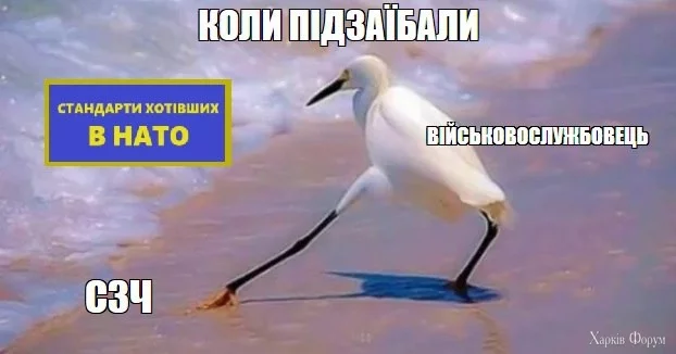 1000024148.jpg