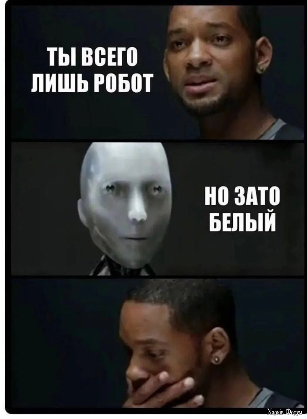1000024535.webp