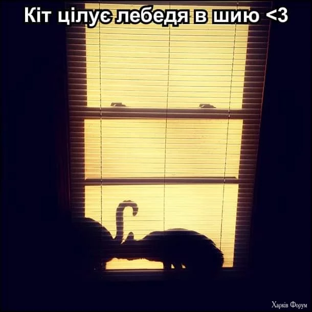 1000024584.webp