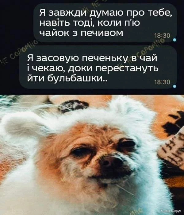 1000024669.webp